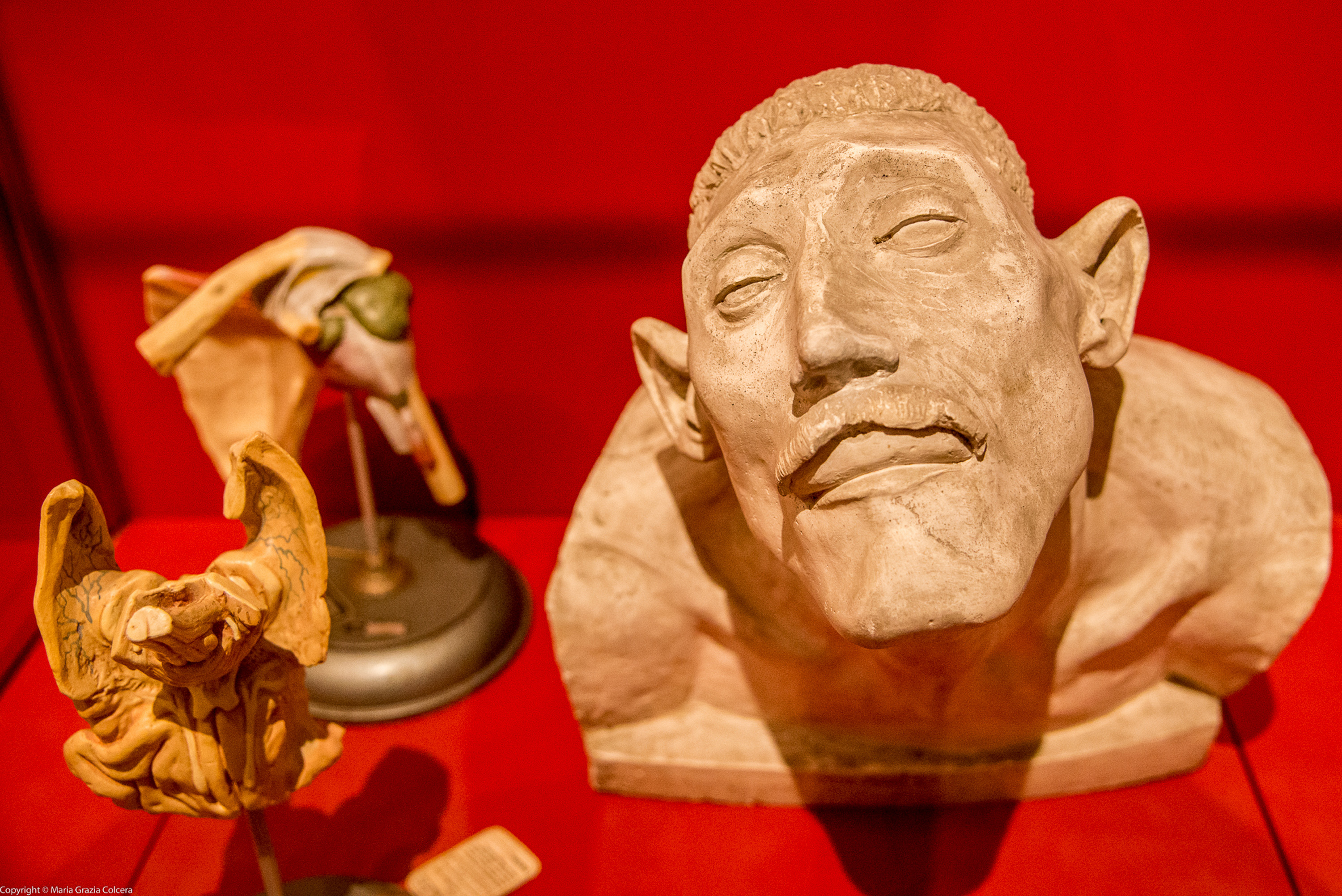 GEP 2023 | San Servolo, un’eredità per le generazioni future: due secoli di storia manicomiale ripercorsi attraverso le testimonianze del Museo e dell’Antica farmacia